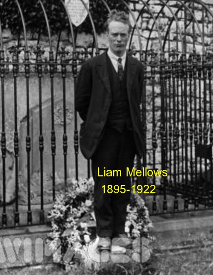 Liam Mellows